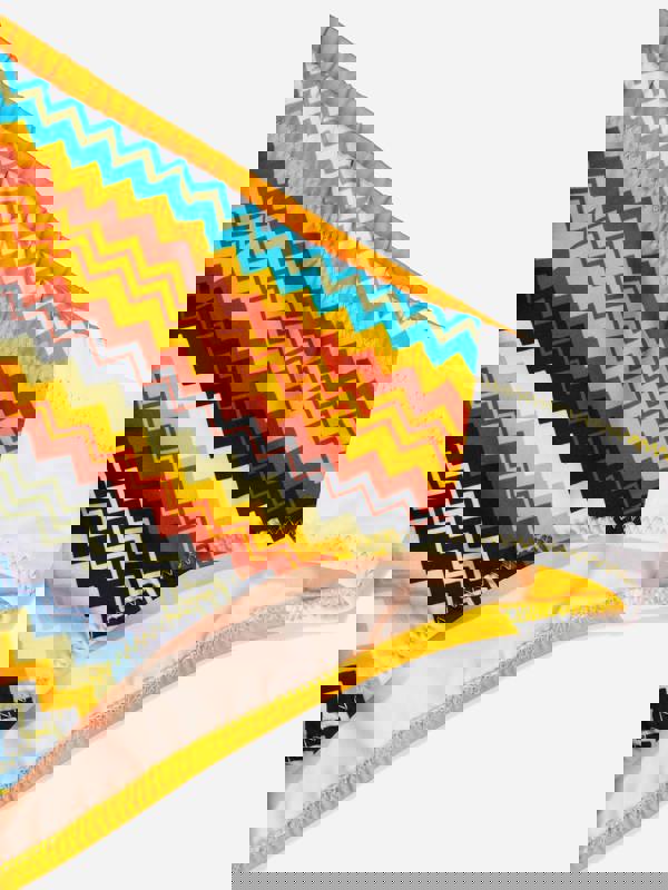 Missoni Boys Logo Swimming Briefs in Multicolor