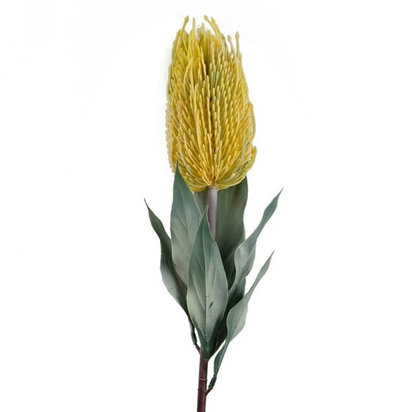 Leaf Pack of 6 x 75cm Banksia Menziesii Yellow Flower Stem Artificial