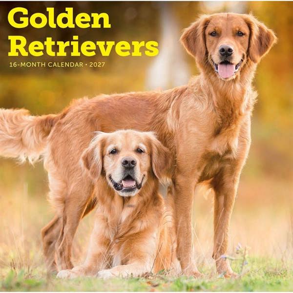 Golden Retrievers Calendar 2027, Wall Calendars, Month To View, Dogs, Gift