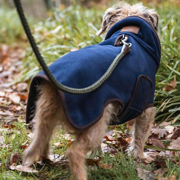 Dog wearing hoggs of fife stenton fleece dog coat in Navy