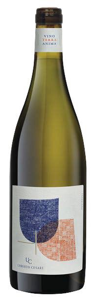 Umberto Cesari, Emilia Romagna, Amphora, Trebbiano 2024 75cl