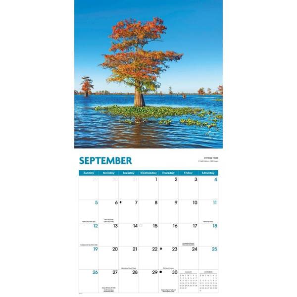 Trees Calendar 2027, Wall Calendars, Month To View, Natural World, Gift