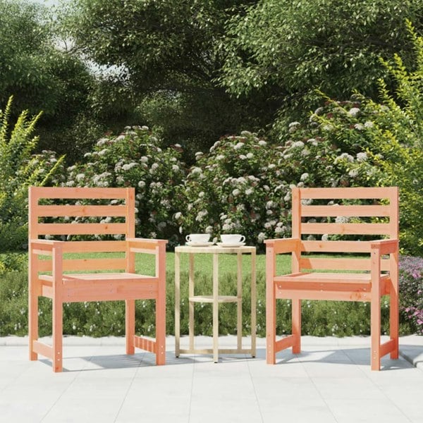 Berkfield Garden Chairs 2 pcs 60x48x91cm Solid Wood Douglas