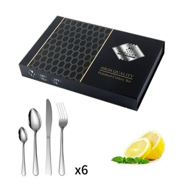 Dyzi 24 Piece Stainless Steel Cutlery Set Silver with Gift Box