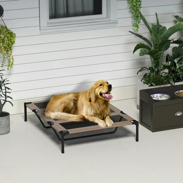 Raised pet cot bed with brown and gray mesh, dog lying on the elevated frame