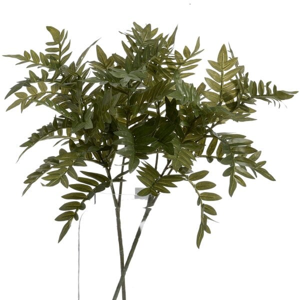 Wyld Haus Set of 3 Artificial Flowers Pistach Bunches
