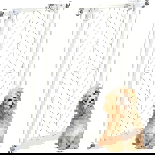D06-213V00WT