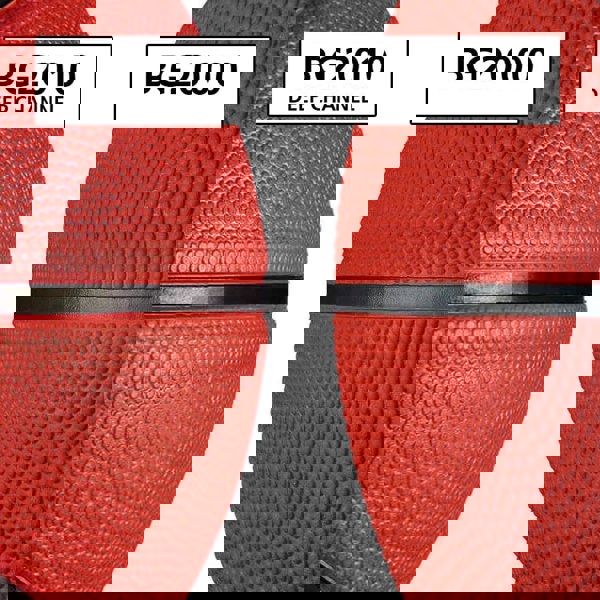 Molten BG2000 Indoor & Outdoor Basketball