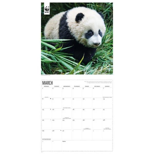 WWF, Pandas Calendar 2027, Wall Calendars, Month To View, Animals, Gift