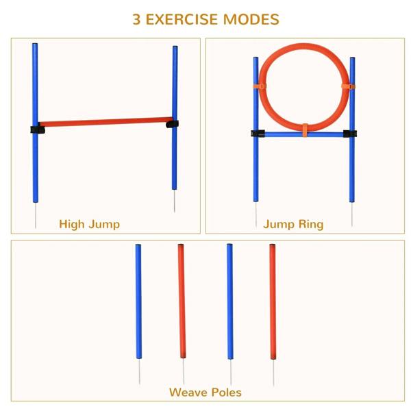 Agility training layouts: blue and orange jump hurdle, ring, and weave poles