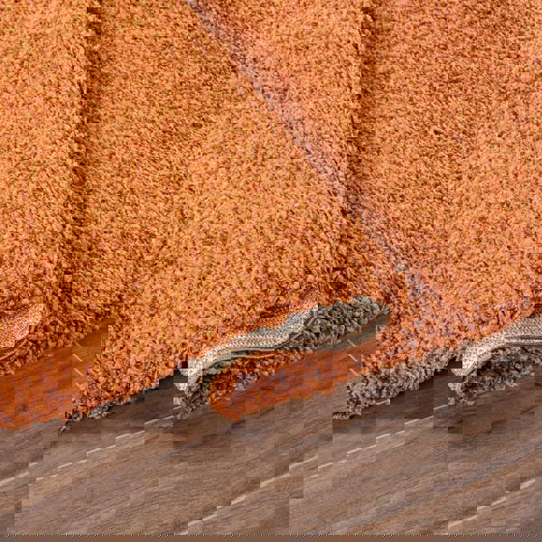 Smart Living Shaggy Rug - Terracotta