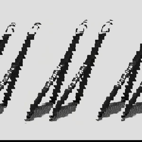 Phoenix Fitness EXERCISE HANDLES