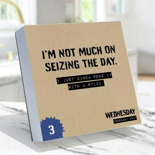Daily Sarcasm, Don't Take Yourself So Seriously Desk Calendar 2027, Desk Calendars, Day To View, Humour, Gift
