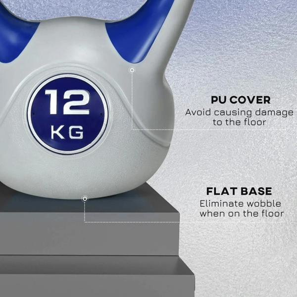 12 kg kettlebell with flat base and blue accents on handle, close-up