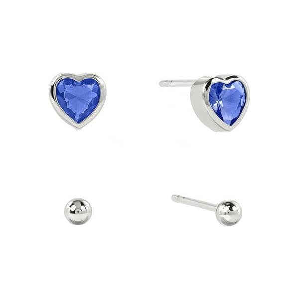 Radley Core Earrings Gift Set RYJ1617