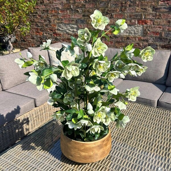 Wyld Haus Artificial Plant Large Green Hellebore in Brown Ceramic Pot