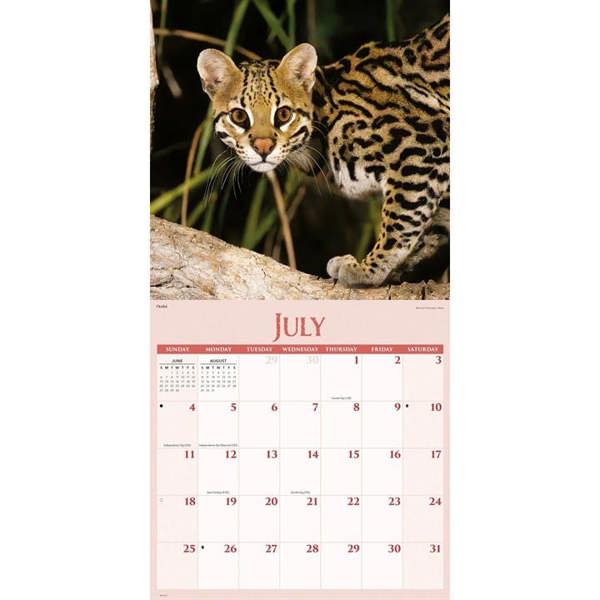 Wildlife Calendar 2027, Wall Calendars, Month To View, Animals, Gift