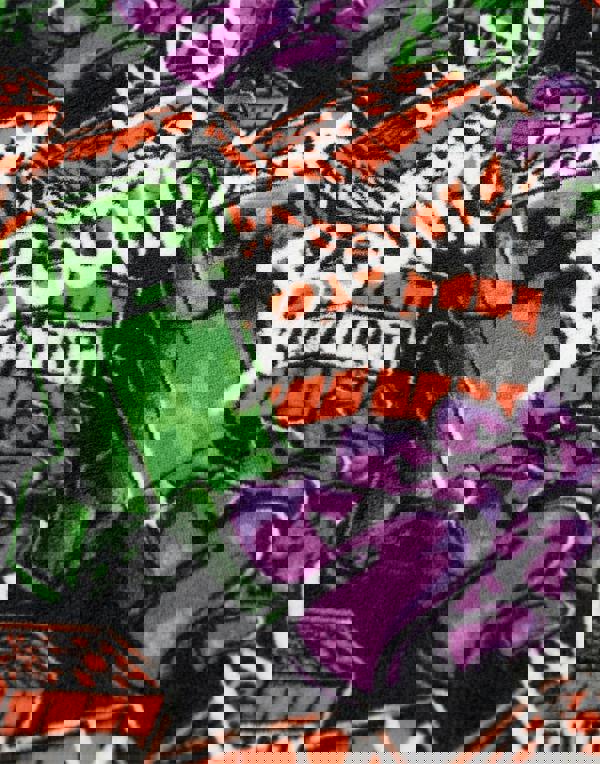 Minecraft Boys Multicoloured Creeper Blanket Hoodie (One Size)