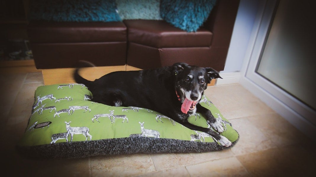 Snug and Cosy Pets Sage Deer Print Lounger