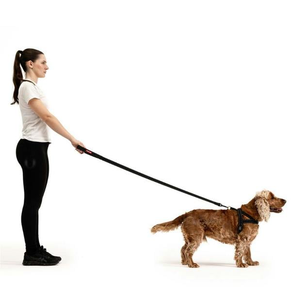 EzyDog Classic Dog Lead in Grey
