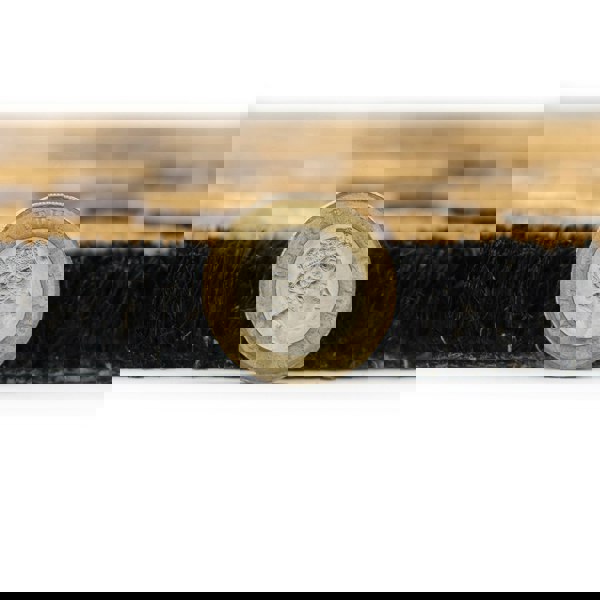 JVL Eco-Friendly Latex Backed Coir Entrance Doormat, 45x75cm - Diamond Pixel