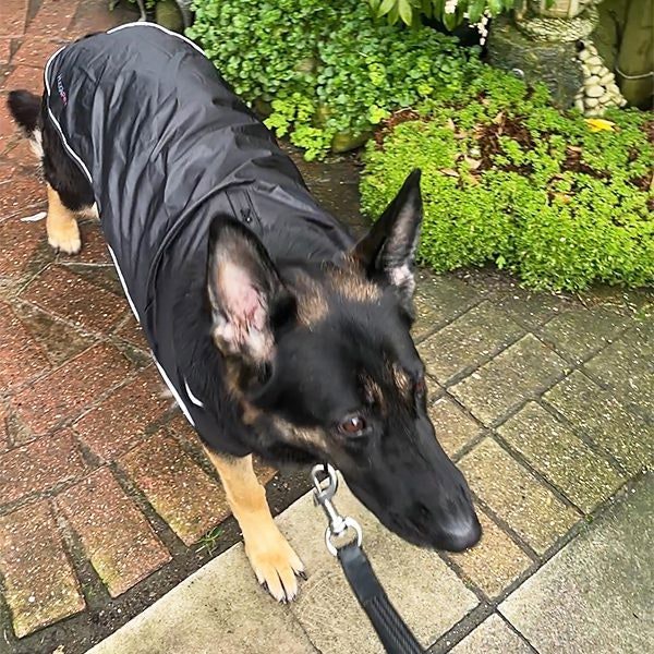 HugglePets Arctic Armour Dog Coat - Black