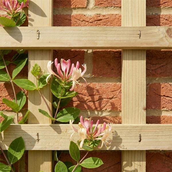 4 pack trellis triple dome square [w.6ft x h.2ft] 1