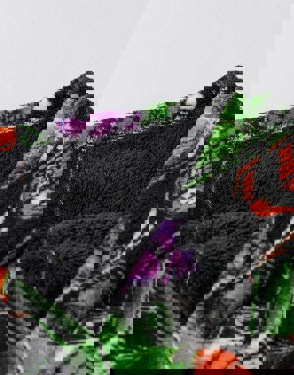 Minecraft Boys Multicoloured Creeper Blanket Hoodie (One Size)