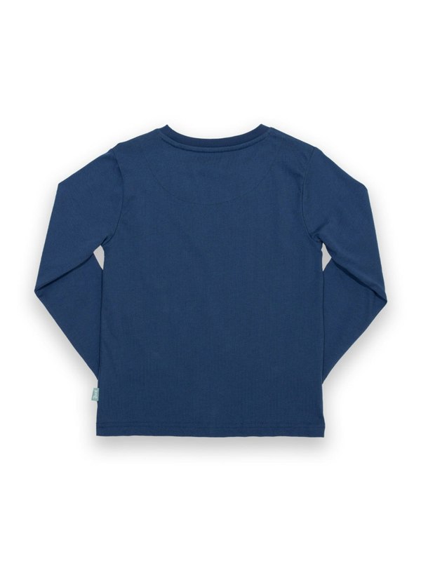 Kite Boys Organic Dippy Dino T-Shirt