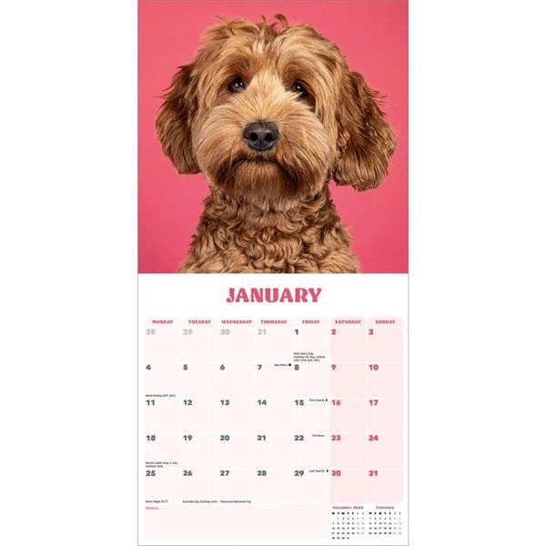 Cockapoo Calendar 2027, Wall Calendars, Month To View, Dogs, Gift