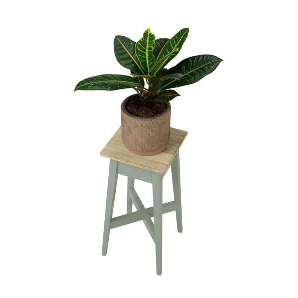 Statement Furniture Florence Wooden Plant Stand Plant Holder 50cm Tall ASSEMBLED