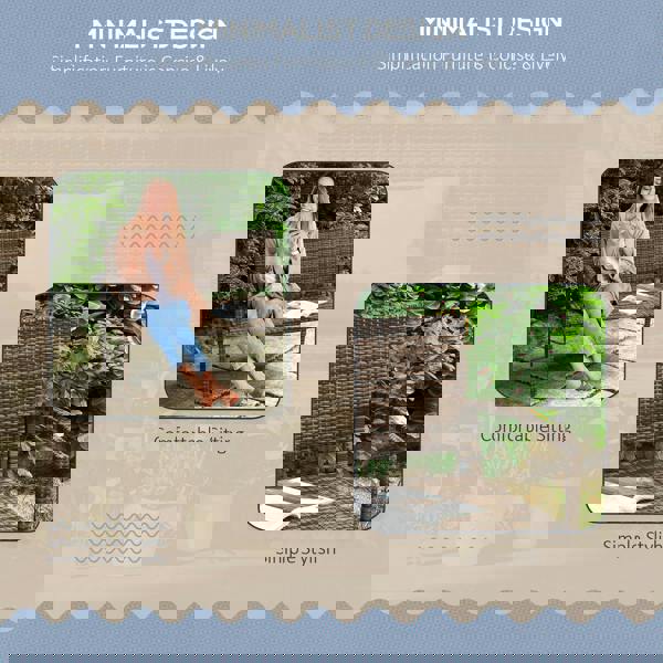 Rattan Leisure Chair