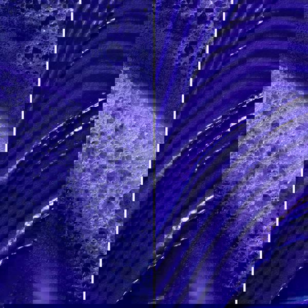 Pureology Strength Cure Blonde Shampoo Conditioner Duo