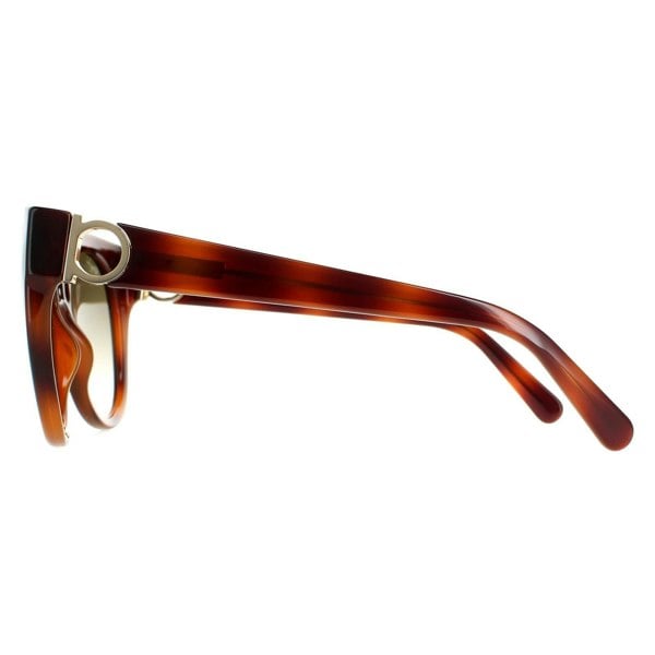 Salvatore Ferragamo Sunglasses SF1031S 214 Tortoise Green