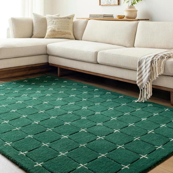 Livabliss Brook-Hand Tufted Green Beige Wool Modern Fringe Rug