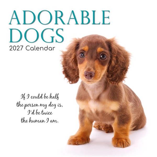 Adorable Dogs Calendar 2027, Wall Calendars, Month To View, Dogs, Gift