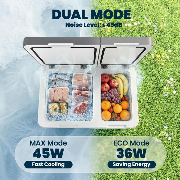 Car Fridge