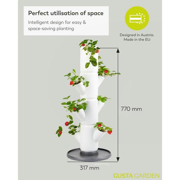 SISSI STRAWBERRY easy-watering strawberry tree