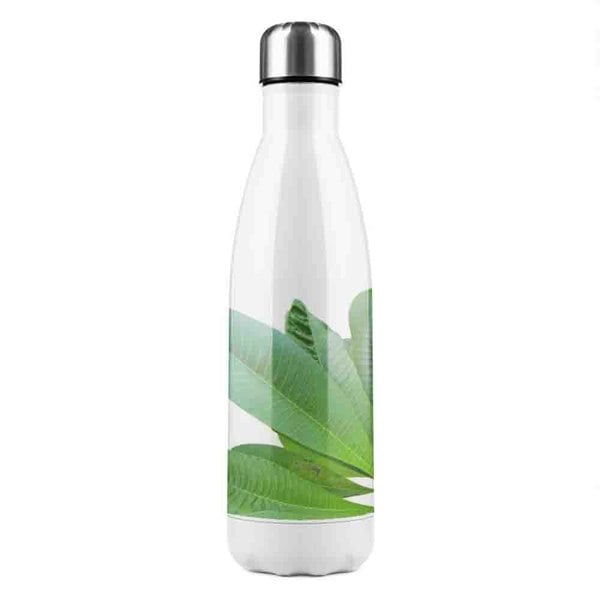 Benjamin Tate Design Green Leaves On White Stainless Steel Bottle