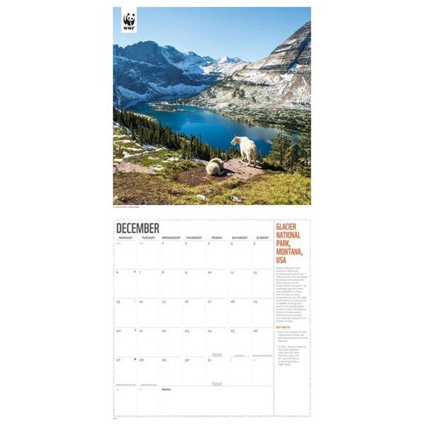 WWF, Fragile Earth Calendar 2027, Wall Calendars, Month To View, Natural World, Gift