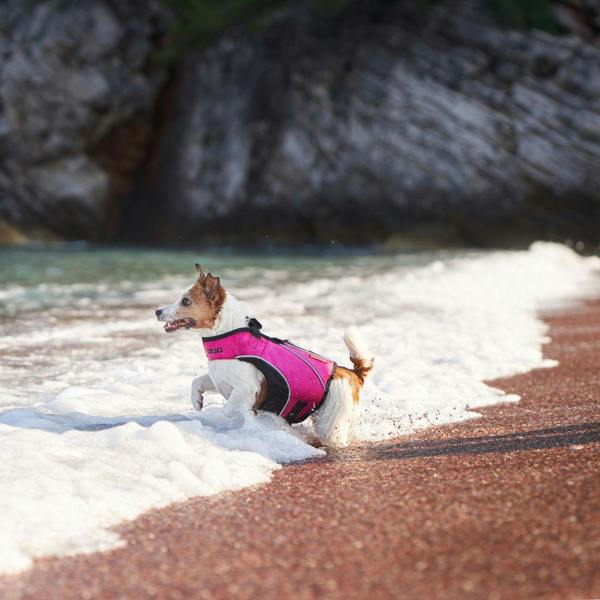 EzyDog DFD X2 Boost Dog Life Jacket in Pink