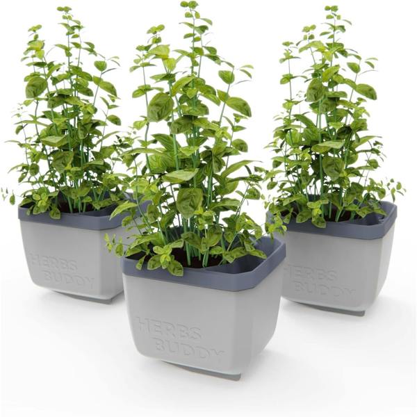 HERBS BUDDY herb pot with water reservoir - Light Grey