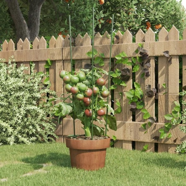 Berkfield Garden Plant Supports with 3 Rings 5 pcs Green 60 cm Steel