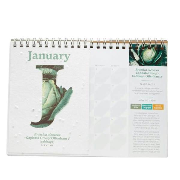 RHS, Plantable Veg & Herb Small Easel Desk Calendar 2027, Desk Calendars, Month To View, Lifestyle, Gift