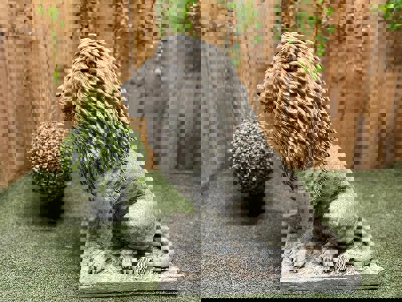 Large Sitting Regal Lion Statue for Garden