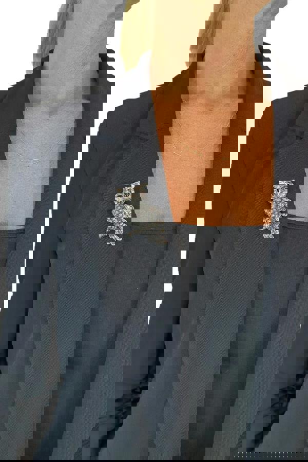 Paulo Due Perching Owl Diamante Brooch