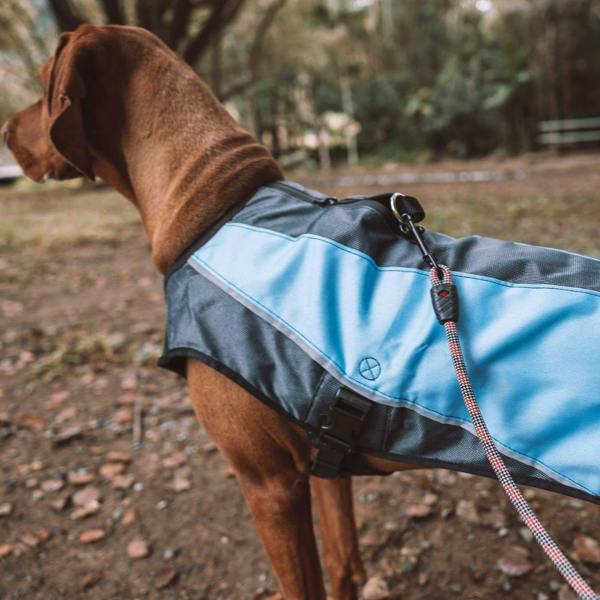 EzyDog Summit Dog Lead in Purple