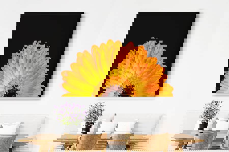 Gerbera flower art print