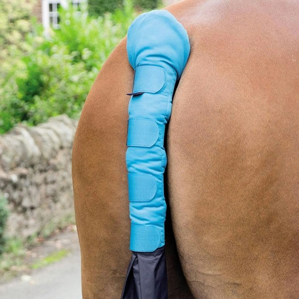 ARMA Horse Tail Guard With Bag - Bright Blue