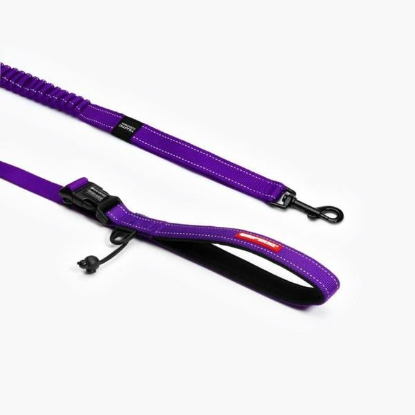 EzyDog Road Runner Dog Lead in Purple